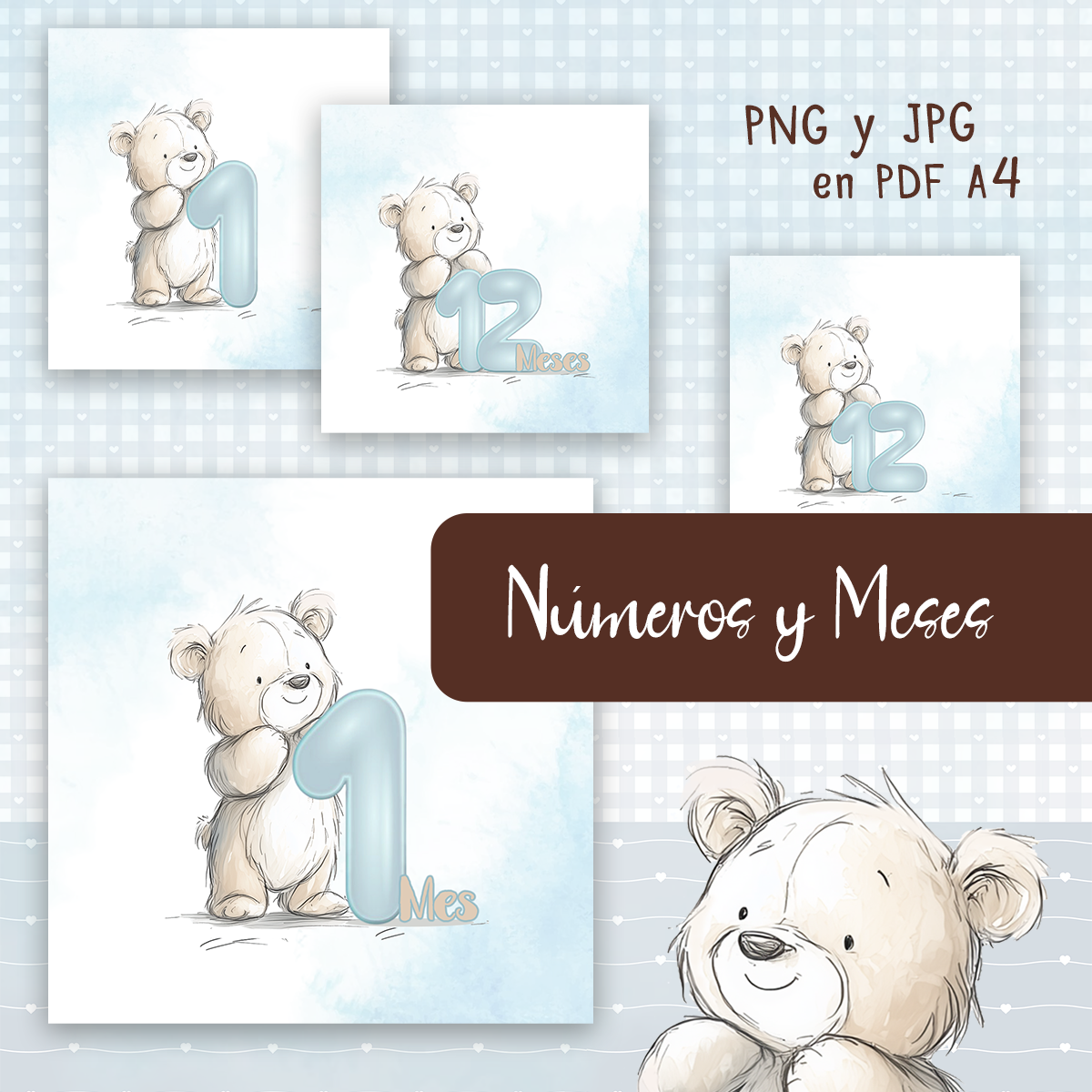 Mi Osito / Números y Meses