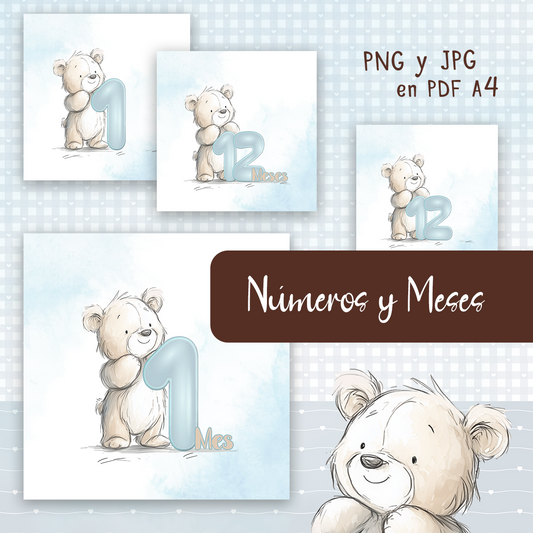 Mi Osito / Números y Meses